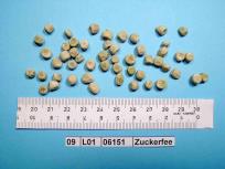 Click for 4 image(s) for this accession. Image